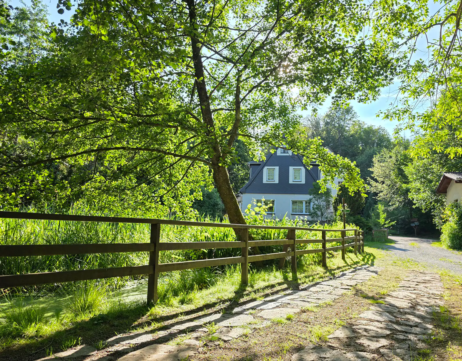 Ferienhaus Schwarzmühle in Börnichen im Erzgebirge — Außenansicht mit Garten