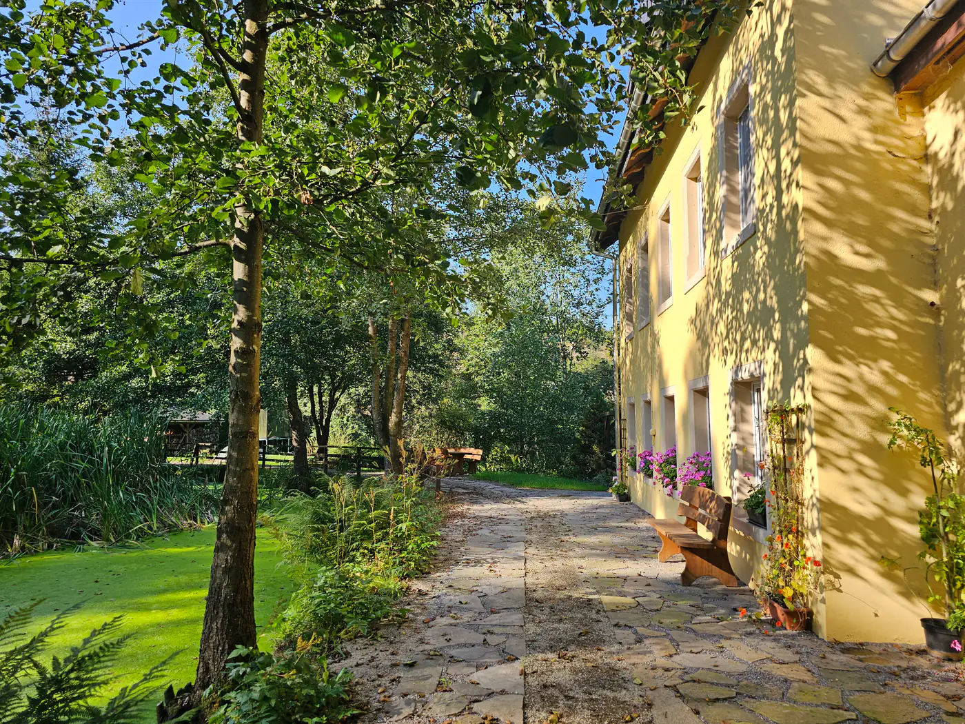 Schwarzmühle Erzgebirge — Garten und Umgebung in Börnichen